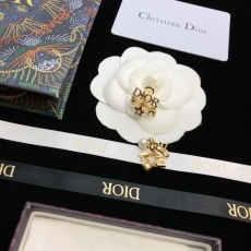 Christian Dior Earrings